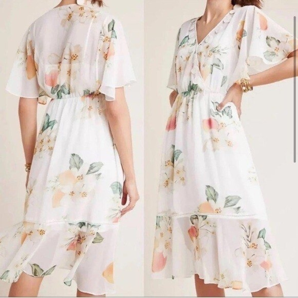 Farm Rio Anthropologie Eloisa Floral Midi Dress Sheer Chiffon Small